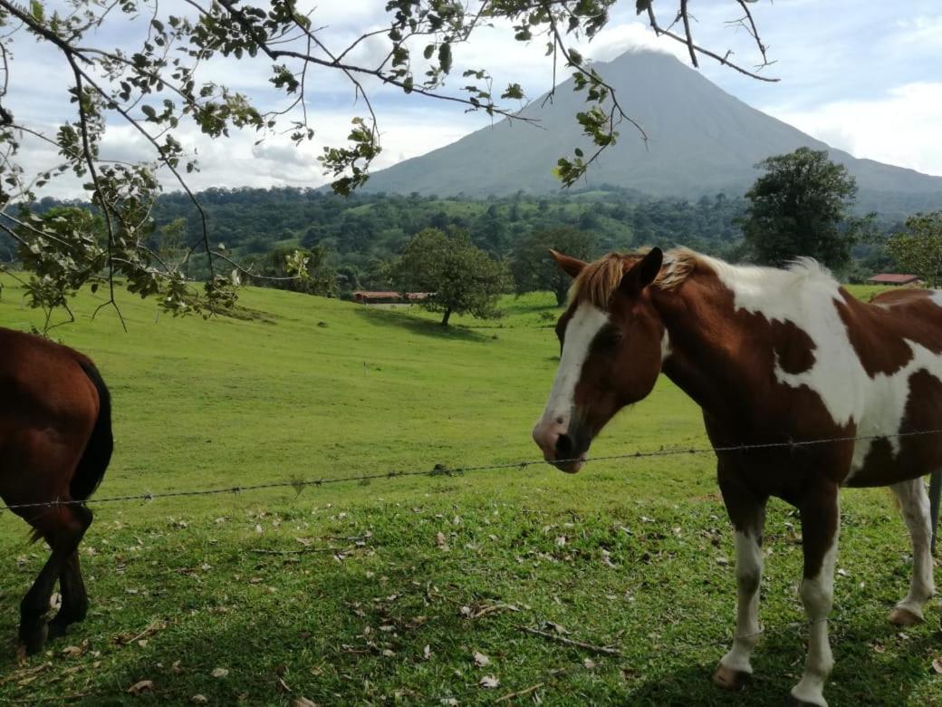 Casona Rustica & Bungalow La Fortuna ภายนอก รูปภาพ