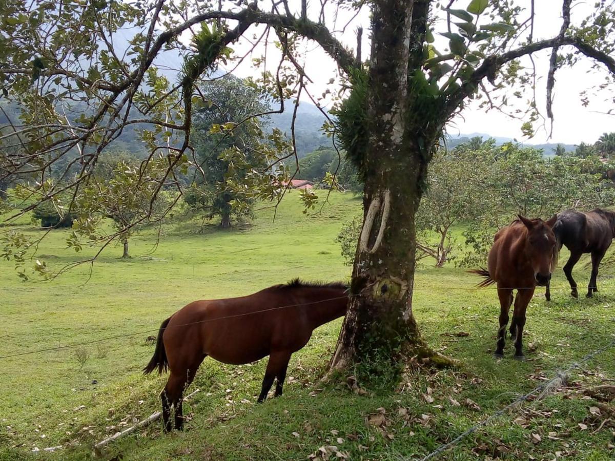 Casona Rustica & Bungalow La Fortuna ภายนอก รูปภาพ