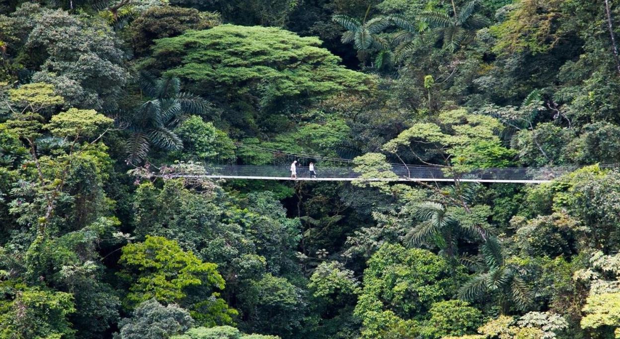 Casona Rustica & Bungalow La Fortuna ภายนอก รูปภาพ